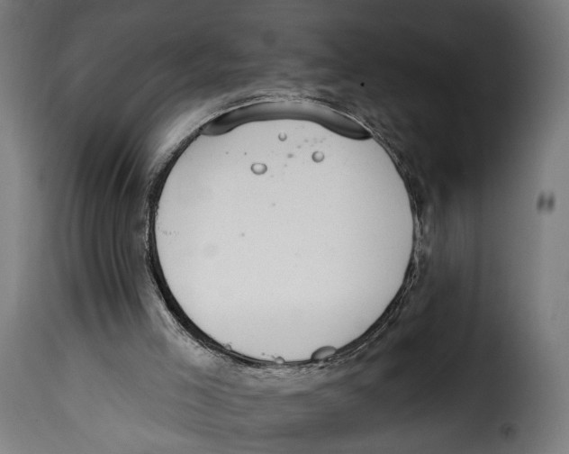 X0000114990005200911231152