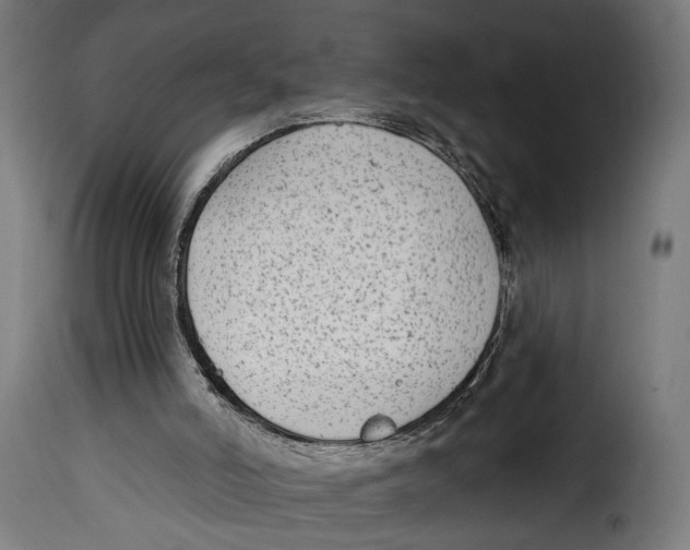 X0000114990006200911231152