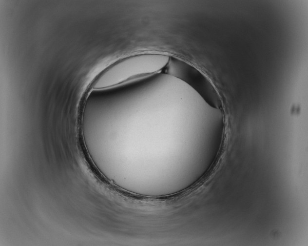 X0000114990008200911231152