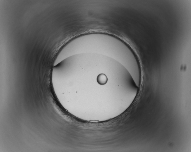 X0000114990009200911231152