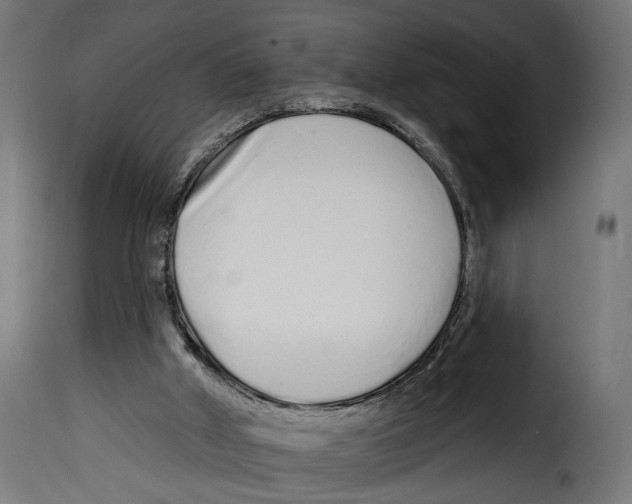 X0000114990010200911231152