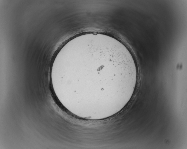 X0000114990011200911231152