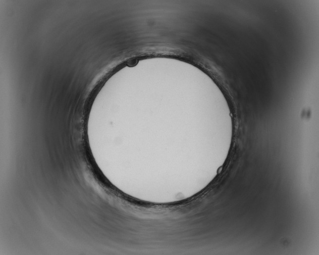 X0000114990012200911231152