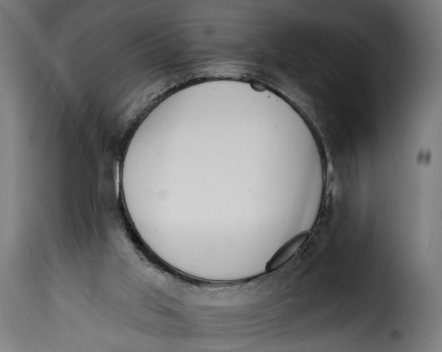 X0000114990013200911231152