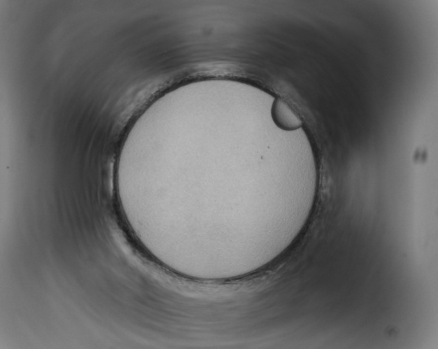 X0000114990014200911231152