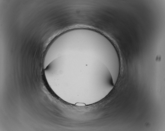 X0000114990015200911231151