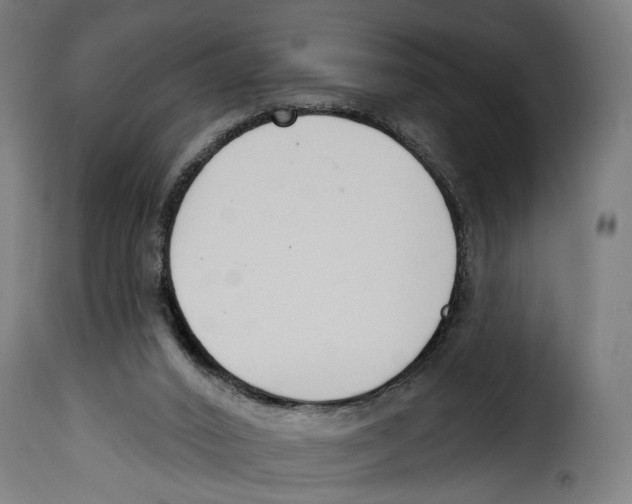 X0000114990016200911231151