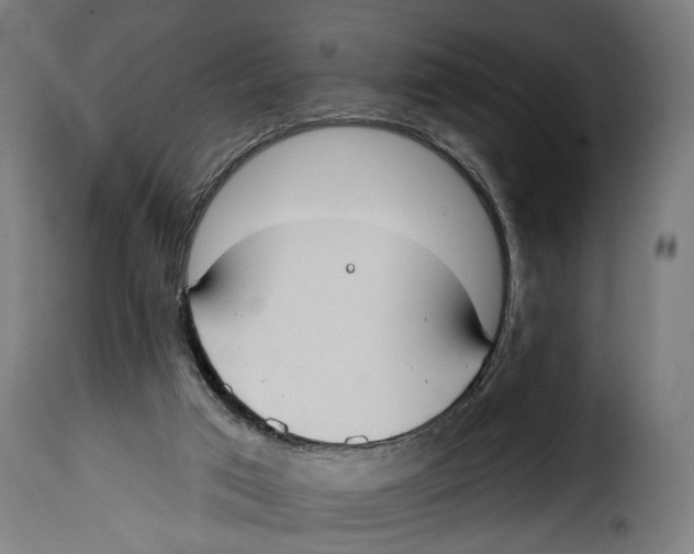 X0000114990017200911231151