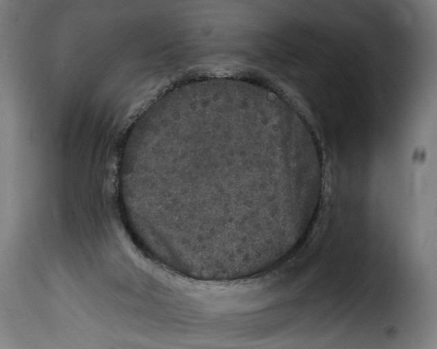 X0000114990018200911231151