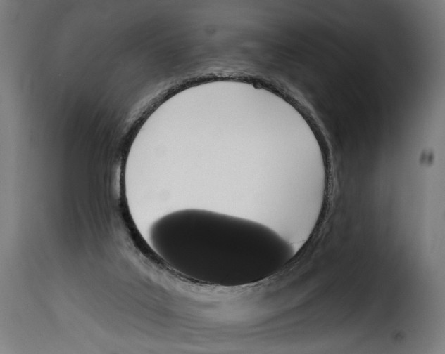 X0000114990019200911231151