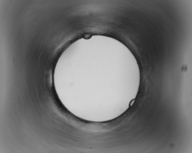 X0000114990020200911231151