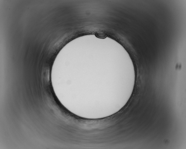 X0000114990021200911231151