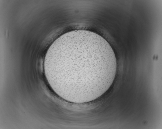 X0000114990022200911231151