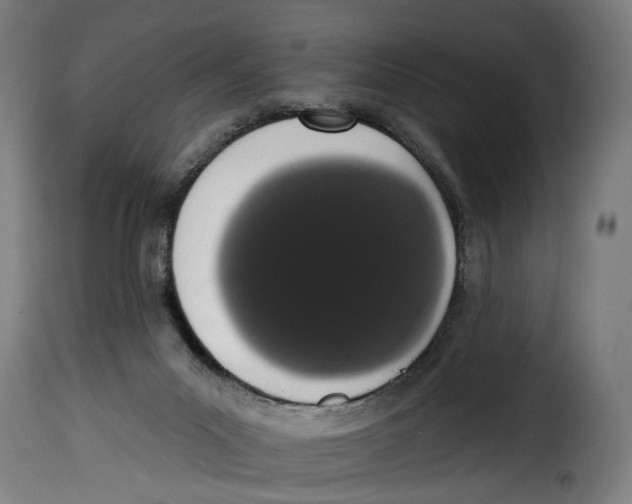 X0000114990023200911231151