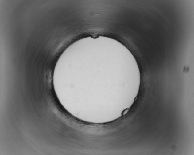 X0000114990024200911231151