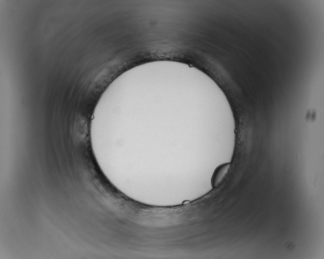 X0000114990025200911231151