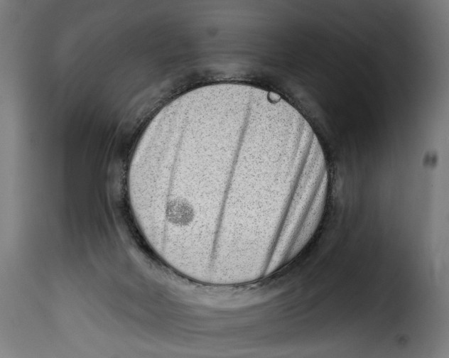 X0000114990026200911231151