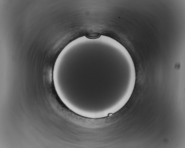 X0000114990027200911231151