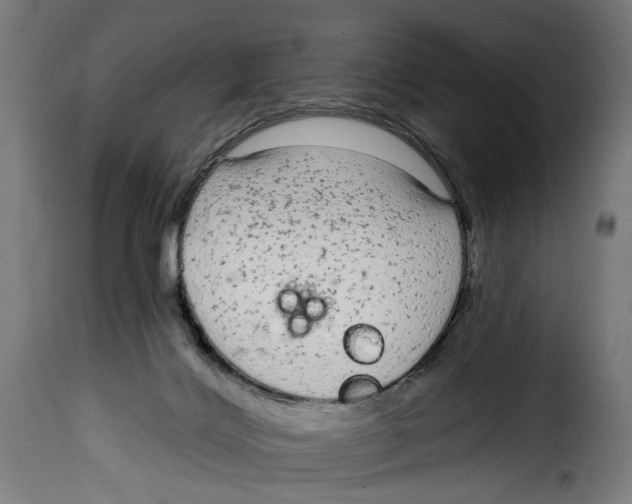 X0000114990028200911231151