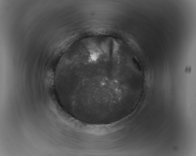 X0000114990029200911231151