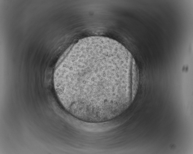 X0000114990030200911231151