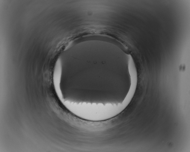 X0000114990031200911231151