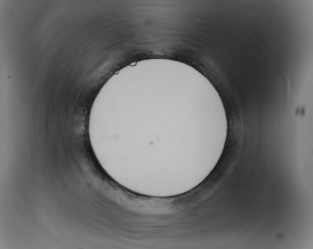 X0000114990032200911231151