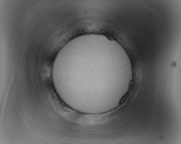 X0000114990033200911231151