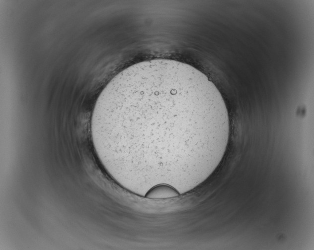 X0000114990034200911231151