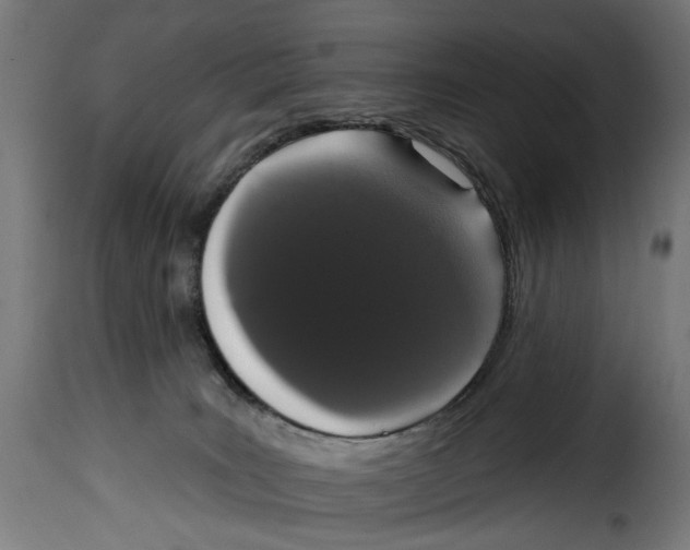 X0000114990035200911231151