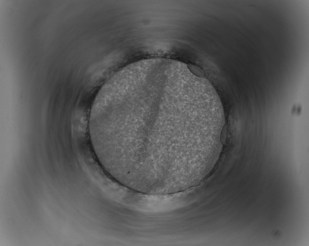 X0000114990037200911231151