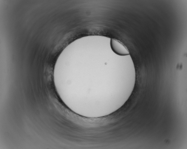 X0000114990038200911231151