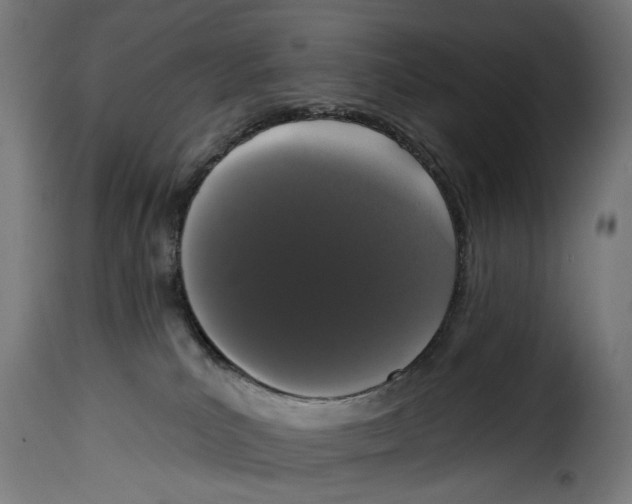 X0000114990039200911231151