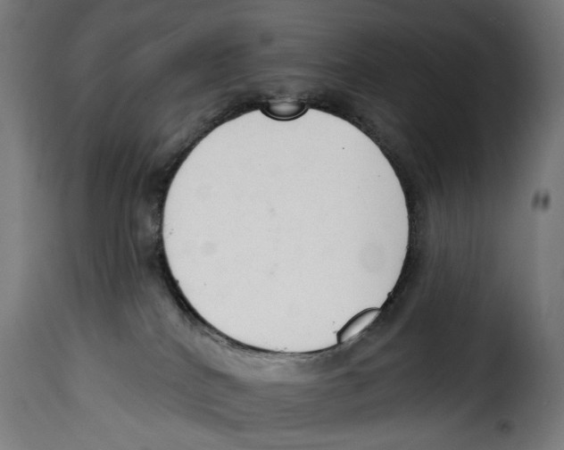 X0000114990040200911231151