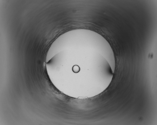 X0000114990041200911231151