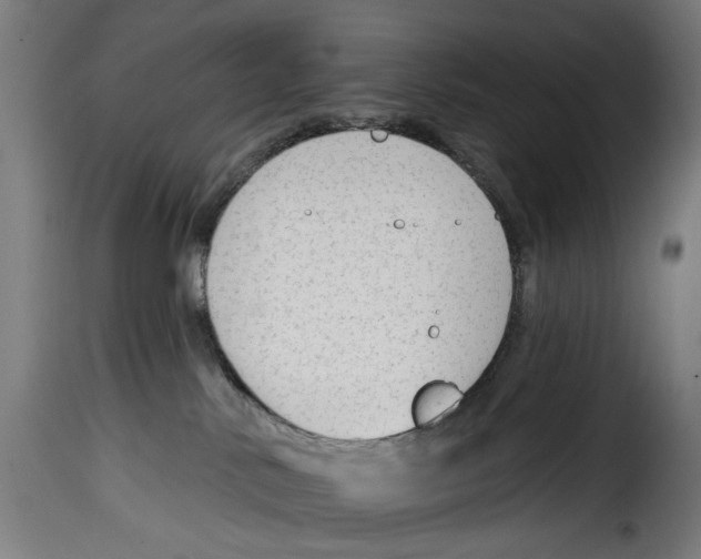 X0000114990042200911231151