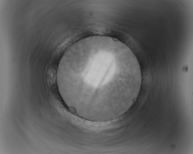 X0000114990043200911231151