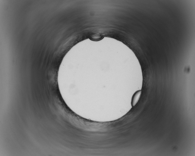 X0000114990044200911231151