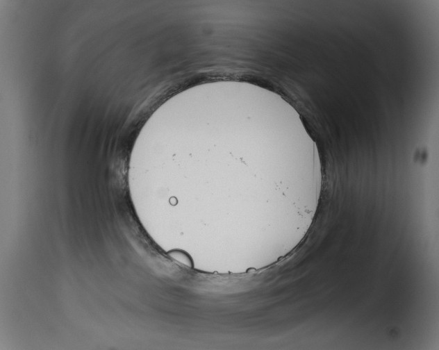 X0000114990045200911231151