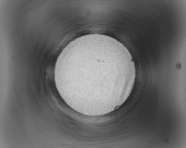 X0000114990046200911231151