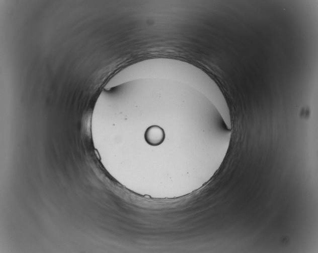 X0000114990047200911231151