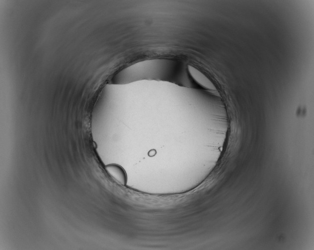 X0000114990048200911231151