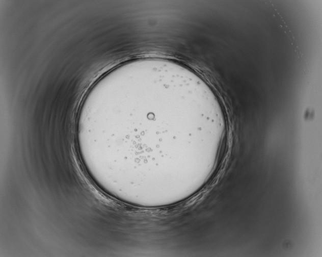 X0000114990049200911231150