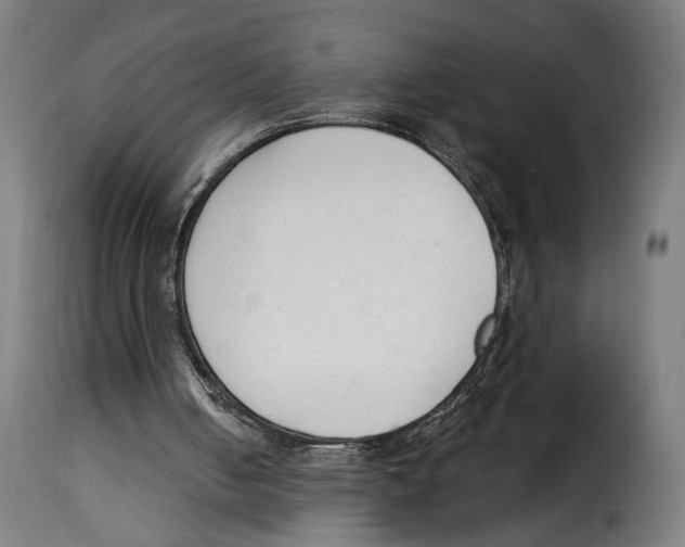 X0000114990050200911231150