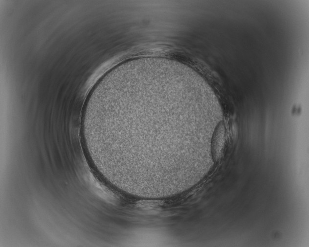 X0000114990051200911231150