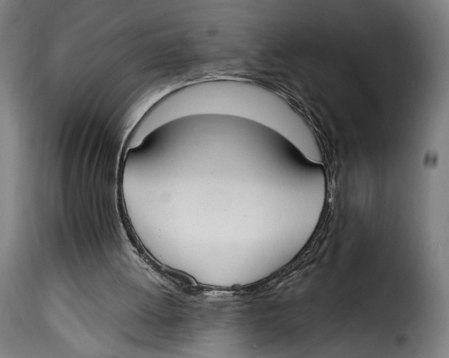 X0000114990052200911231150