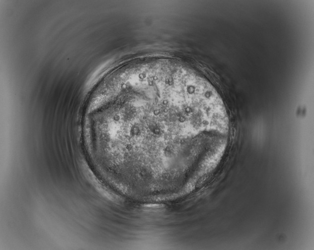 X0000114990053200911231150