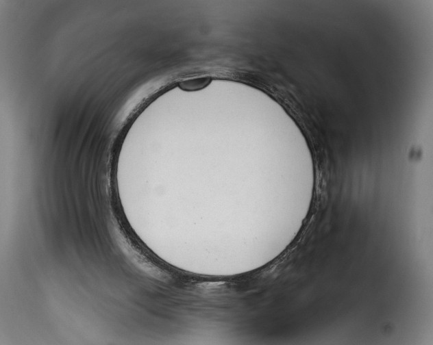 X0000114990054200911231150