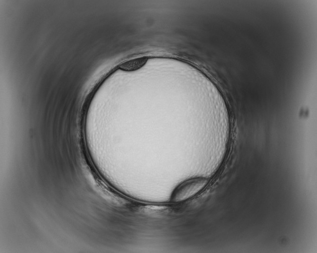 X0000114990055200911231150