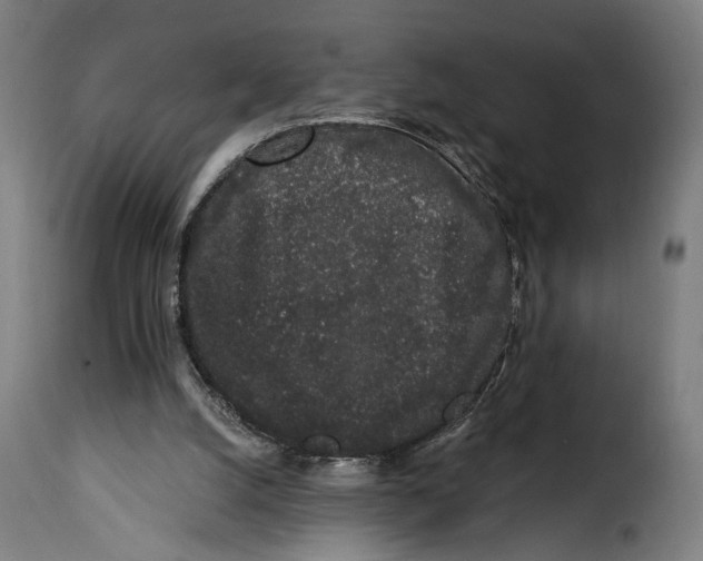 X0000114990056200911231150